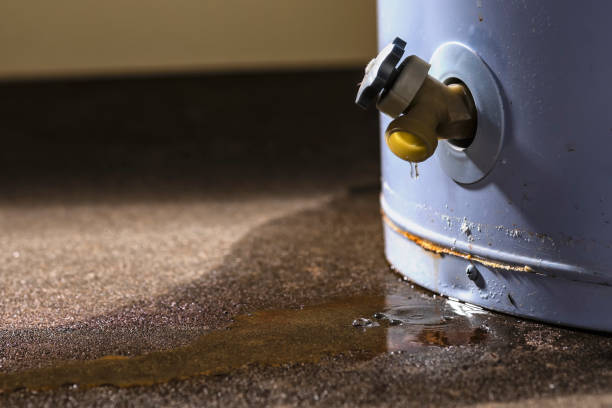 Best Sewage cleanup and water damage restoration  in Elizabeth, CO