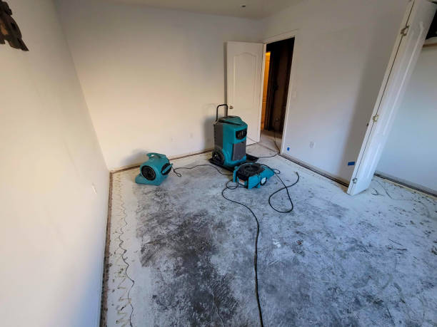  Elizabeth, CO Water damage restoration Pros