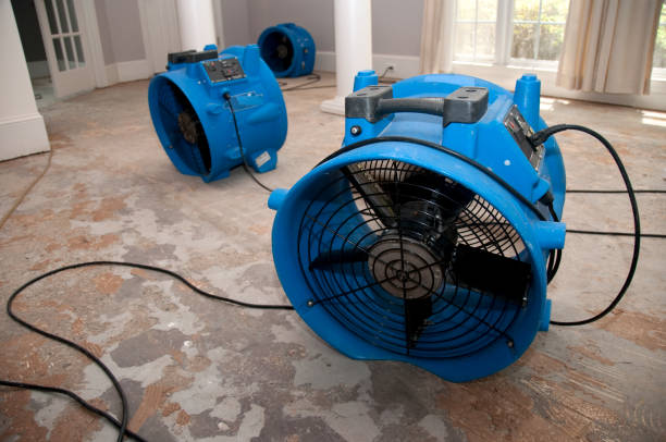 Best Water damage restoration services  in Elizabeth, CO