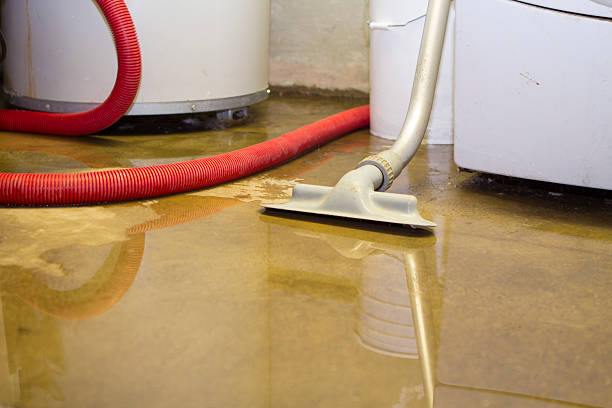 Best Emergency water damage restoration  in Elizabeth, CO