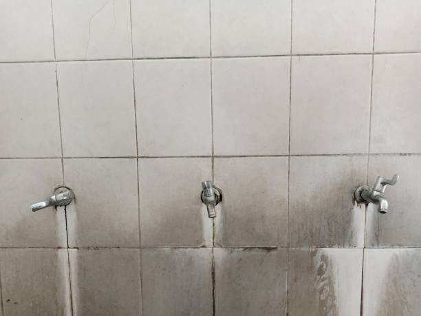 Best Flood damage cleanup  in Elizabeth, CO