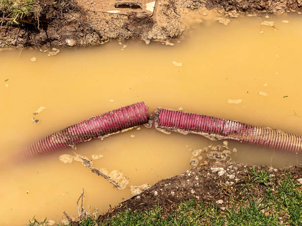 Water damage restoration process in CO